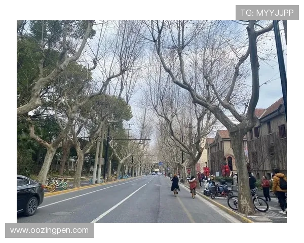 ag厅k8登录线路最新稳定版本推荐，确保顺畅体验