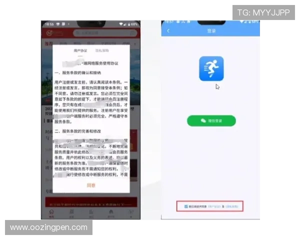 全面解析AG电子APP的安全性与隐私保护措施保障玩家账号信息安全